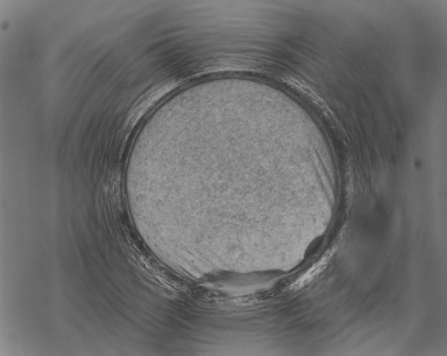 X0000068831121200605261609