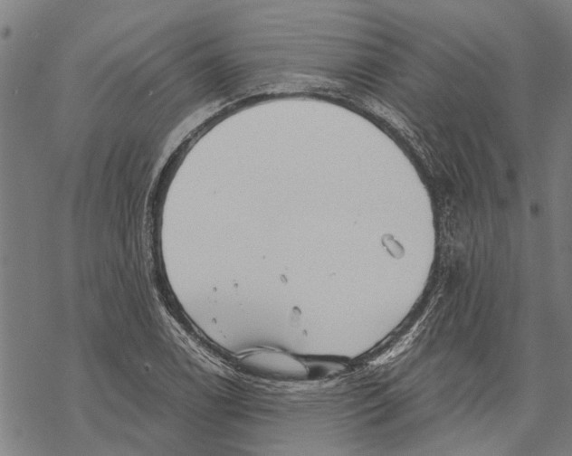 X0000068831122200605261609