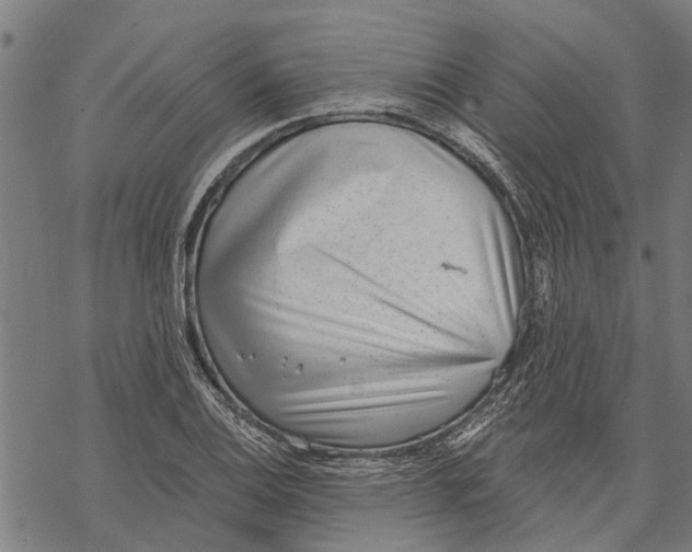 X0000068831124200605261609