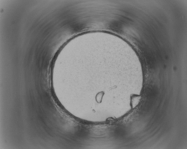 X0000068831126200605261609