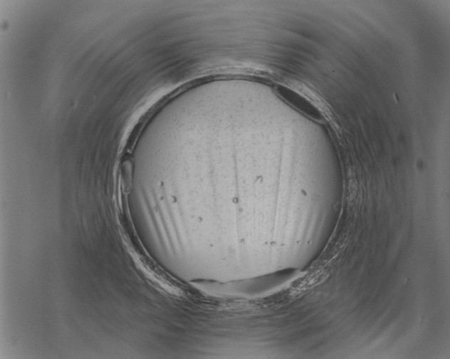 X0000068831128200605261609