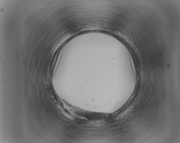 X0000068831129200605261609