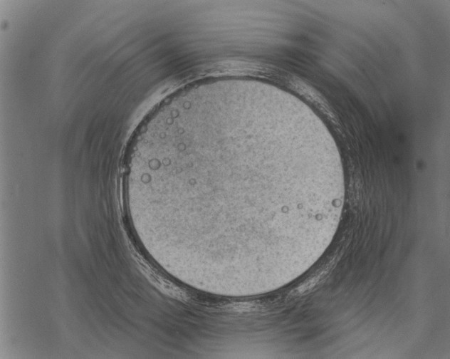 X0000068831130200605261609