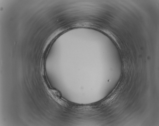 X0000068831131200605261609