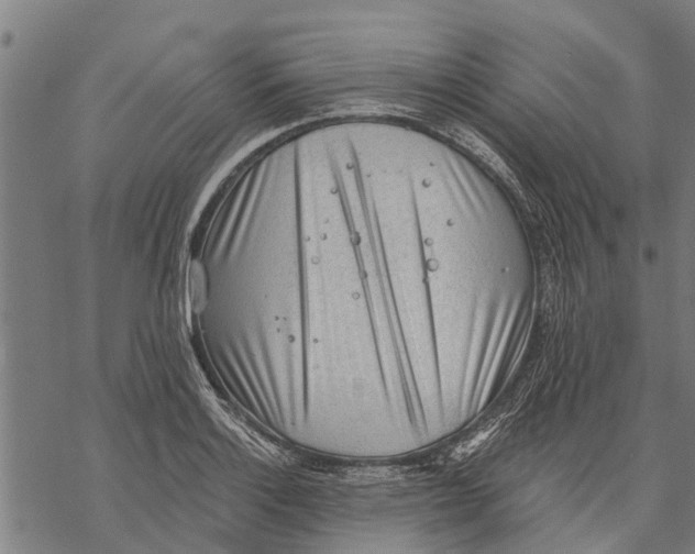 X0000068831132200605261609