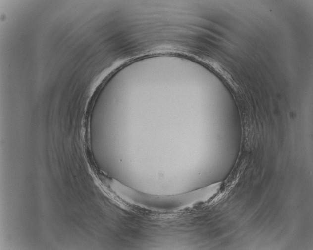 X0000068831134200605261609