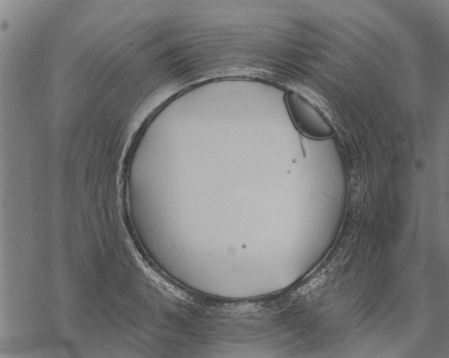 X0000068831135200605261609