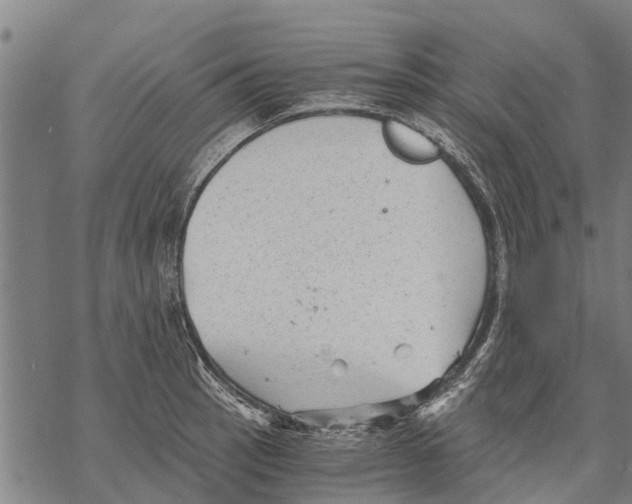 X0000068831137200605261609