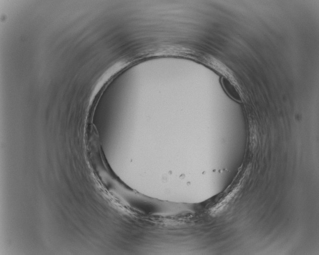 X0000068831138200605261609