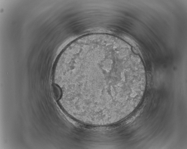 X0000068831141200605261609