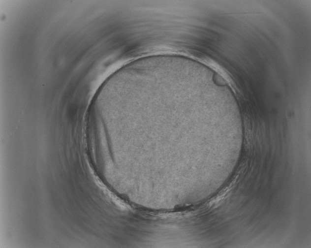 X0000068831142200605261609