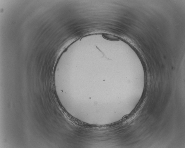 X0000068831145200605261609