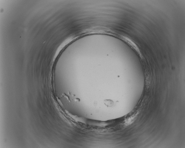 X0000068831146200605261609