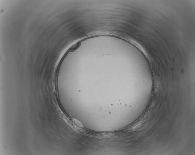 X0000068831148200605261609