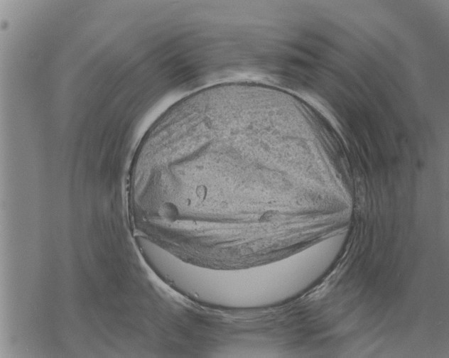 X0000068831151200605261609