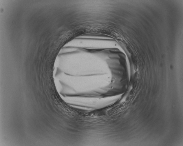 X0000068831153200605261608