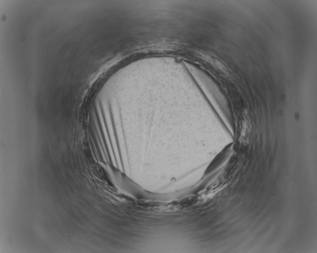 X0000068831160200605261608