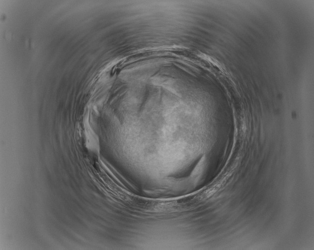 X0000068831161200605261608