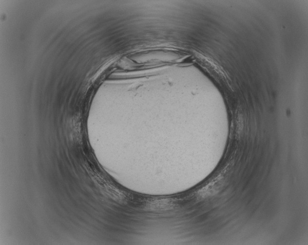 X0000068831162200605261608