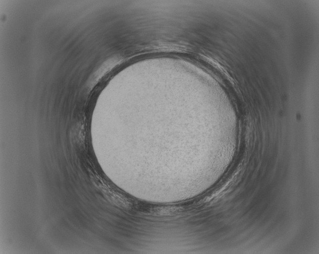 X0000068831163200605261608