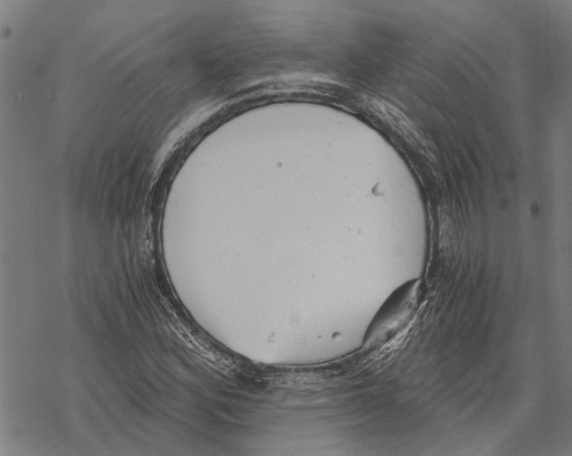 X0000068831164200605261608