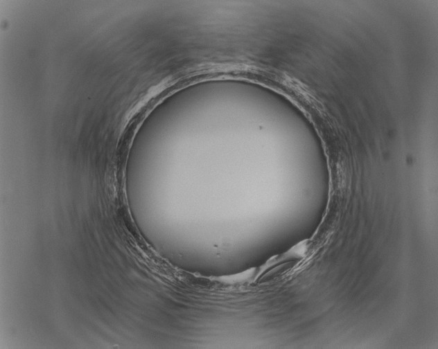 X0000068831165200605261608