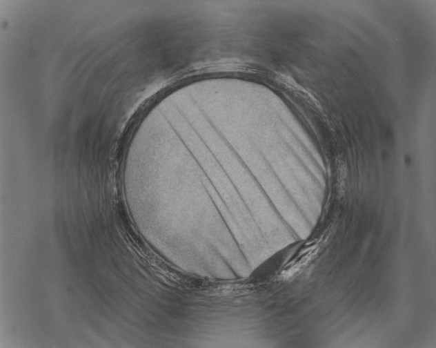 X0000068831166200605261608