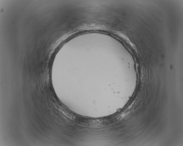 X0000068831167200605261608