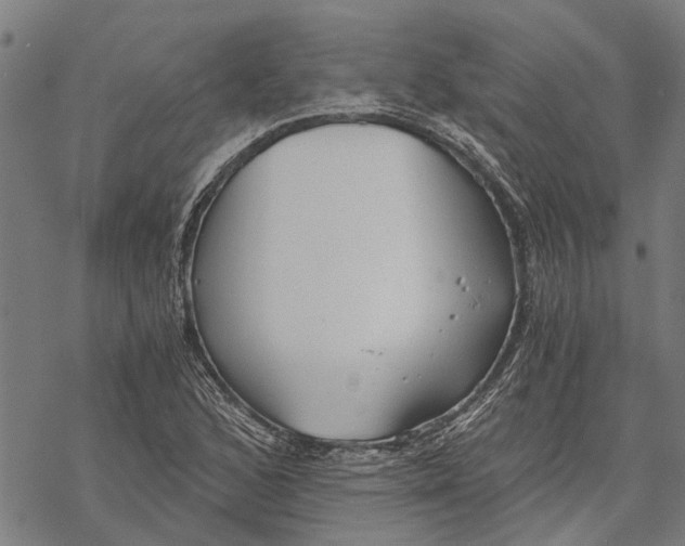 X0000068831168200605261608