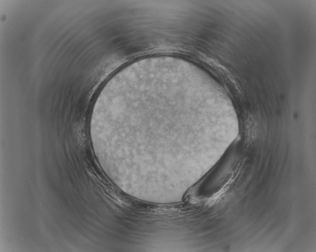 X0000068831170200605261608