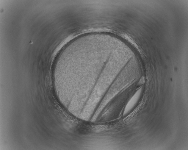 X0000068831173200605261608