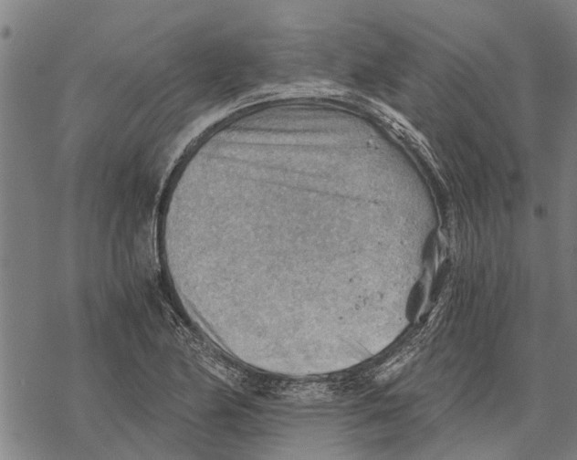 X0000068831174200605261608