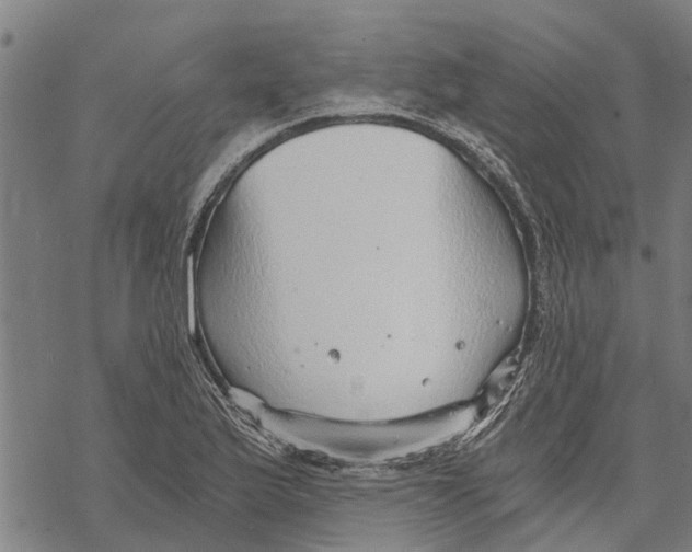 X0000068831175200605261608