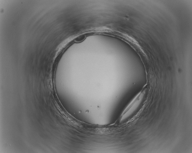 X0000068831176200605261608