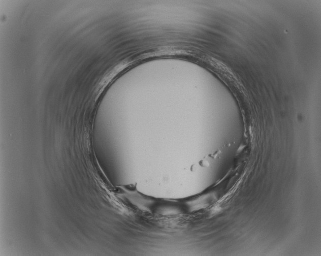 X0000068831177200605261608