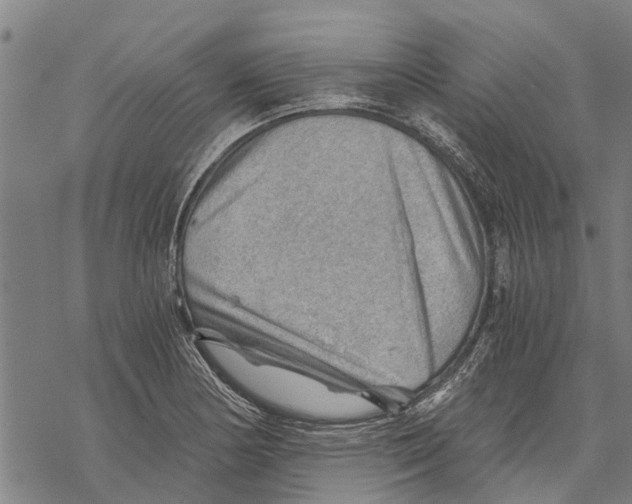 X0000068831178200605261608