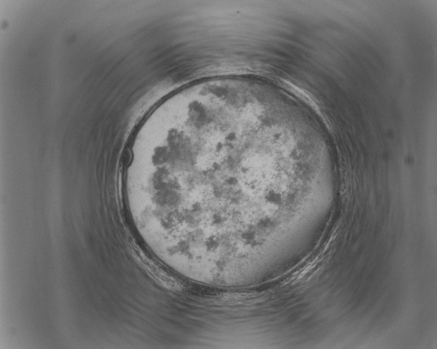 X0000068831179200605261608