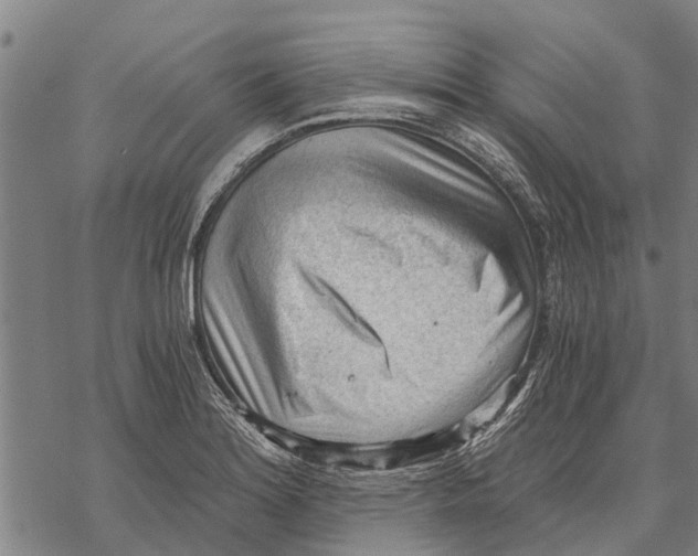 X0000068831180200605261608