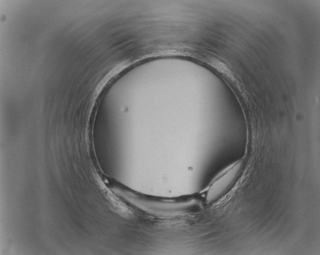 X0000068831181200605261608