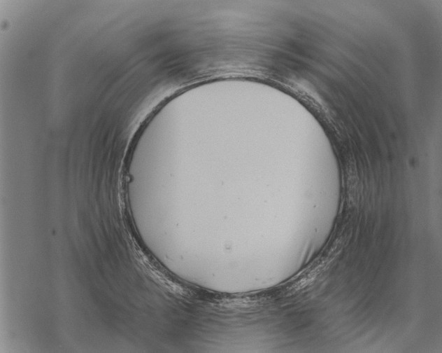 X0000068831182200605261608