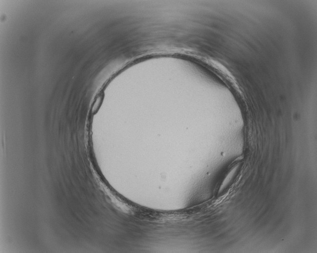 X0000068831183200605261608