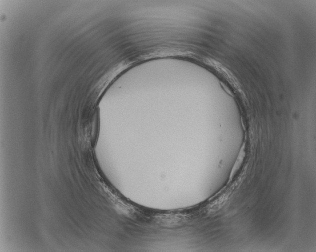 X0000068831185200605261608