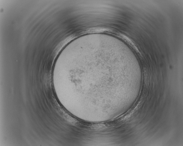 X0000068831186200605261608