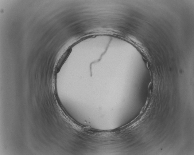 X0000068831188200605261608