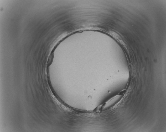 X0000068831189200605261608