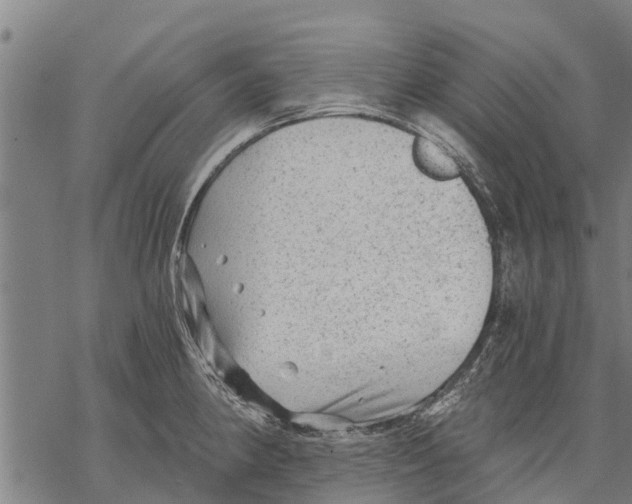 X0000068831190200605261608