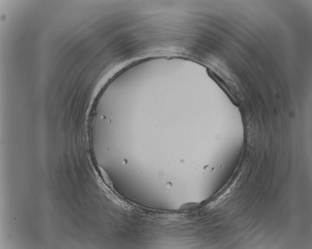 X0000068831192200605261608