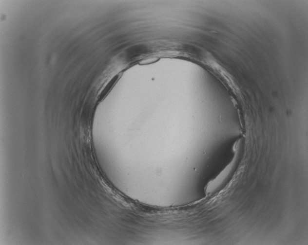 X0000068831193200605261608