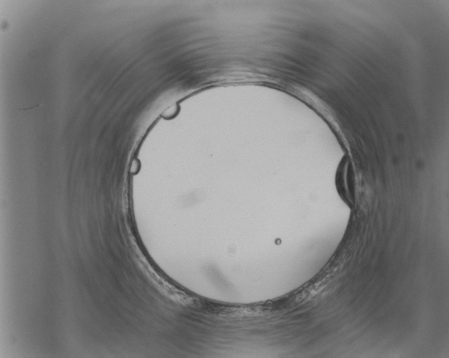 X0000068831195200605261608