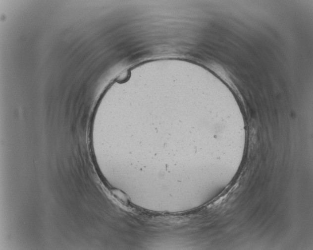 X0000068831197200605261608